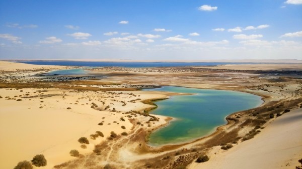 Fayoum-d31